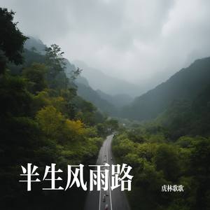 半生风雨路