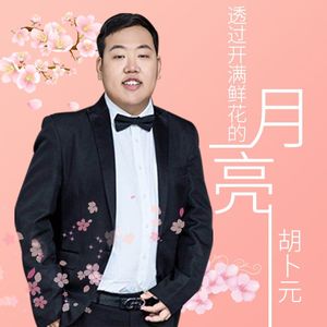 透过开满鲜花的月亮(伴奏)