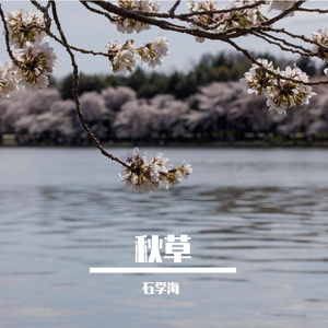 秋草
