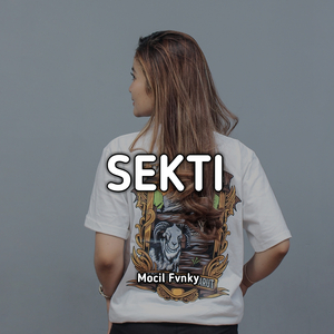 Sekti (Remix)