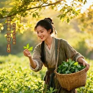 采葛恋歌 (诗经·王风)