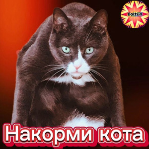 Накорми кота