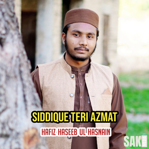 Noor Wale Nabi Aa Gaye