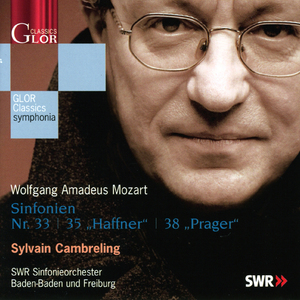 Symphony No. 33 in B-Flat Major, K. 319: II. Andante moderato