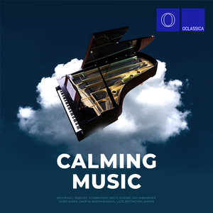 Cello Concerto No.2 in D Major, Hob.VIIb:2: II. Adagio