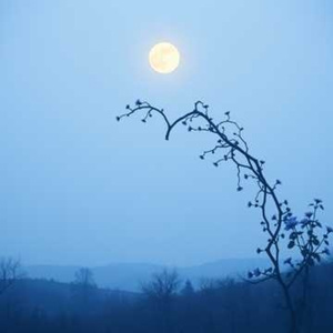 Kita Pernah Berjanji