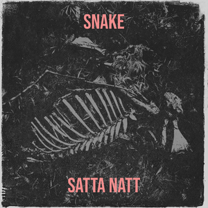 Snake