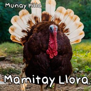 Mamitay Llora