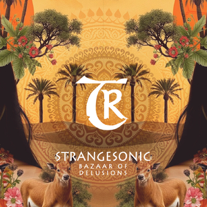 Whispers in the Dust