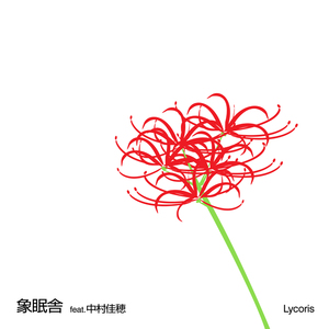 Lycoris