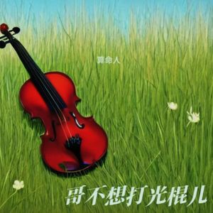 哥不想打光棍儿