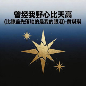 曾经我野心比天高 (比膝盖先落地的是我的眼泪)