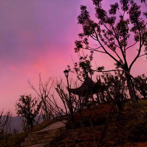 天下（吉他女生版）（翻自 张杰）