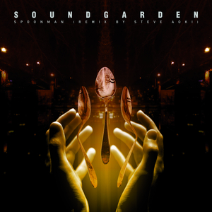 Spoonman (Remix By Steve Aoki)