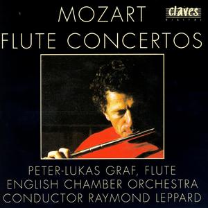 Concerto in D Major, K. 314: I. Allegro aperto
