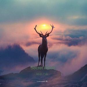 秘境之森secret inside(inst)