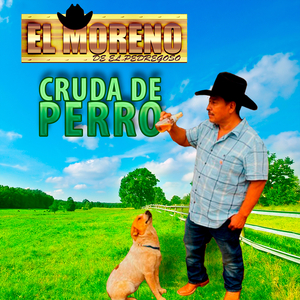 El Precavido