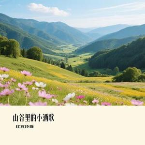 山谷里的小酒歌