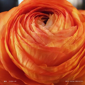 五月份的我有些阴影