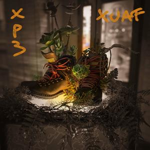 XP3