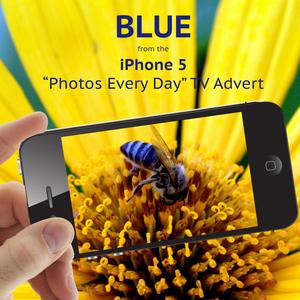 Blue (From the Iphone 5 'Photos Every Day' T.V. Advert)