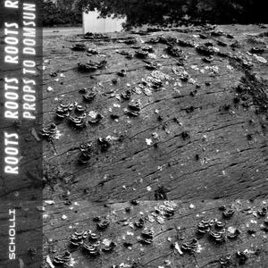 Roots