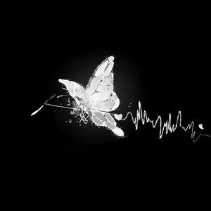 墙头草(Prod By Svk蒋枫)