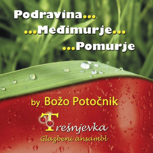 Dok Sam Bila Lepa Mlada