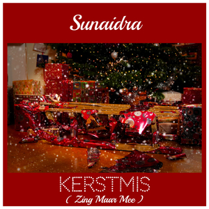 Kerstmis (Zing Maar Mee)