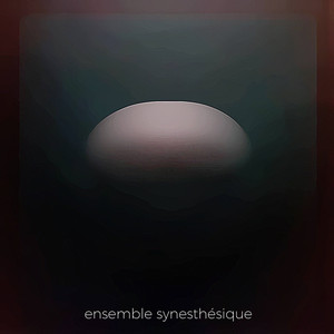 Plongeon D'un Corbeau