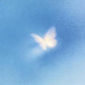 可能是风太大了吧 (Cover GooGoo)