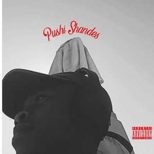 Pushi Shandes