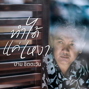 ทำได้แค่เหงา