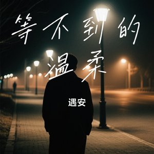 等不到的温柔.wav