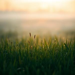 Deep Sleep Piano Lullaby