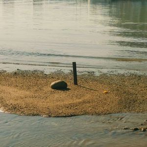 emo guitar loop beat