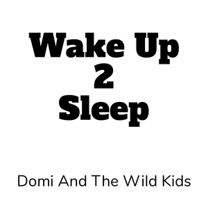 Wake up 2 Sleep
