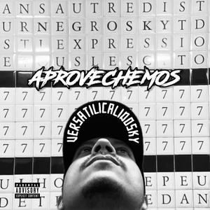 Aprovechemos