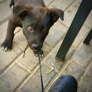 11月11日（Demo）