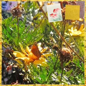 Sophie Xeon (feat. Mayfly Priestess)