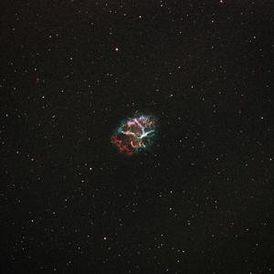 惠院phenomenon(Prod.房间里的大象)