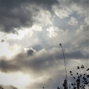 蓝天，白的云（Blue Sky,Clouds of White）