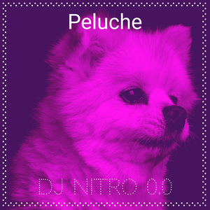 Peluche