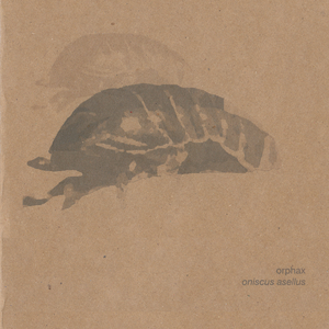 Aristostomias Scintillans