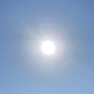 今回も生き抜いて。