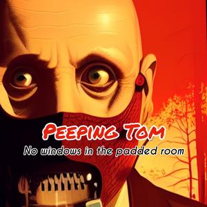 No Windows In The Padded Room