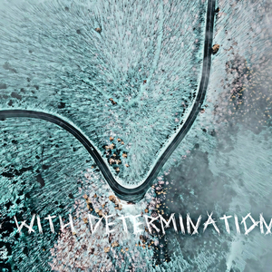 Friends With Determination