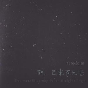 鹤，已乘夜色去