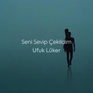 Seni Sevip Çekildim