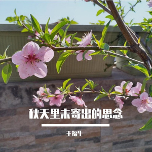 秋天里未寄出的思念